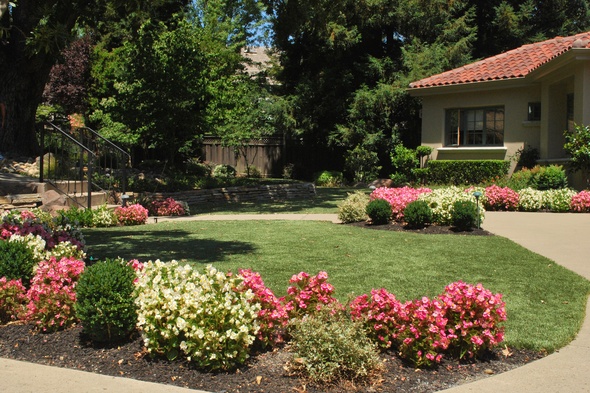 Asheville Artificial Turf Lansdscaping