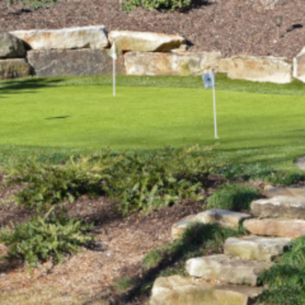 Top Trends For Asheville Backyard Golf Putting Greens