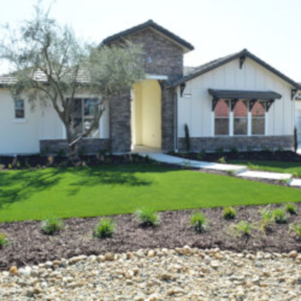 Artificial Lawn Maintenance Tips in Asheville